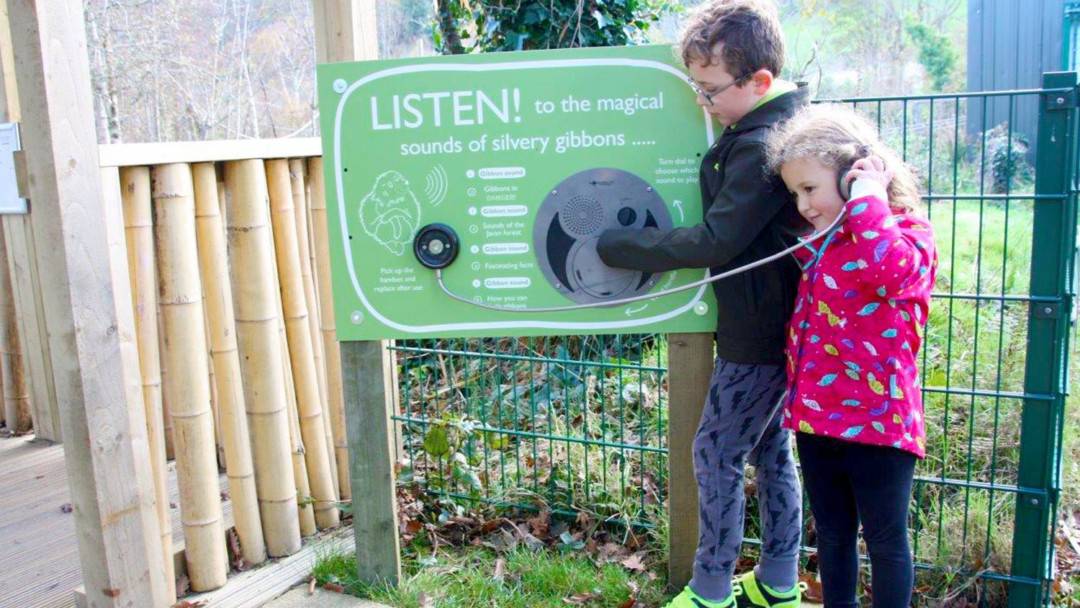 Oversized UTR Panel – Curraghs Wildlife Park