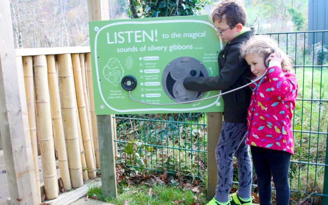 Oversized UTR Panel – Curraghs Wildlife Park