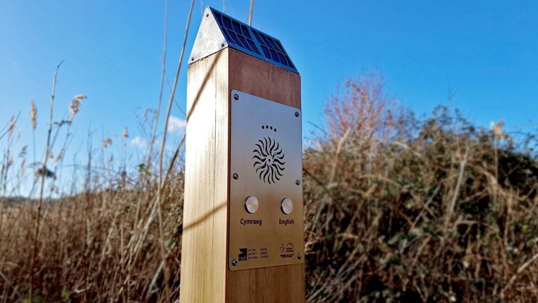 Solar Audio Post – RSPB Conwy