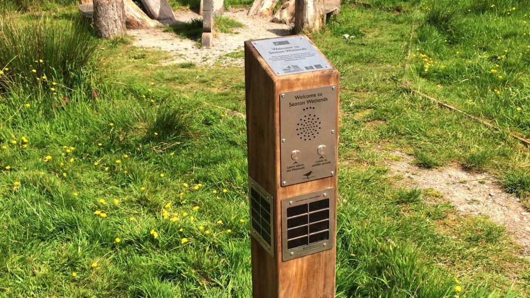 Solar Audio Post – Seaton Wetlands