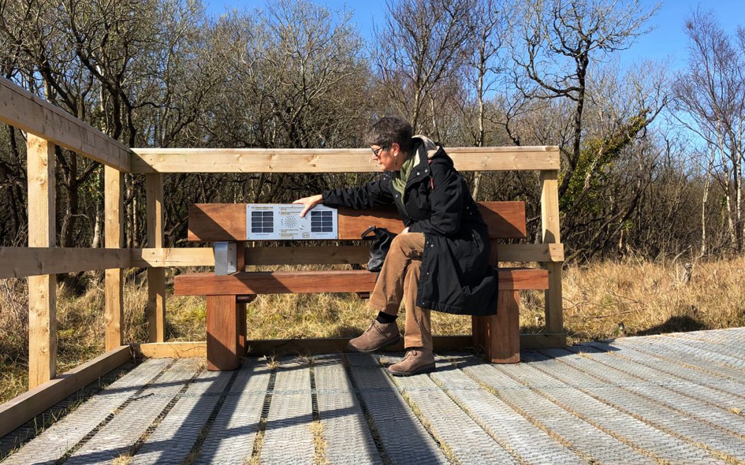 Heavy Duty Audio Bench – Curraghs Wildlife Park