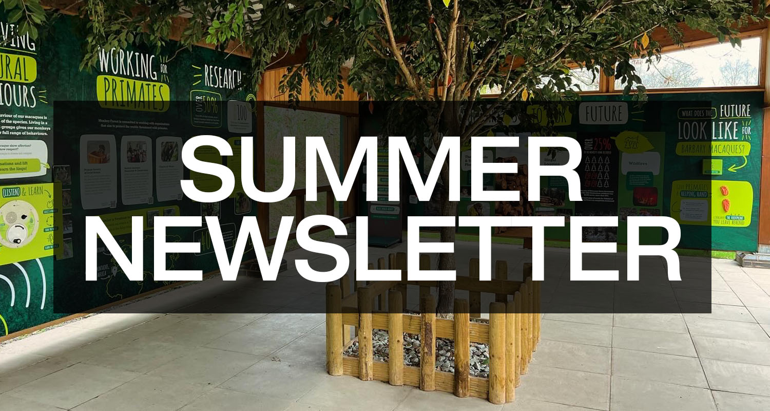 Summer Newsletter