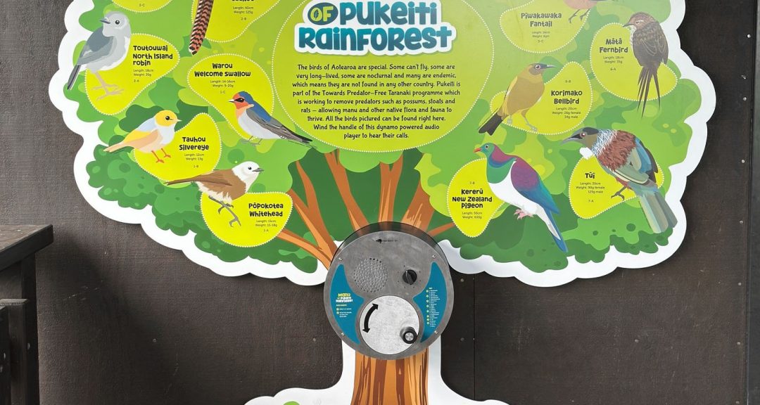 U-Turn Round – Pukeiti Rainforest