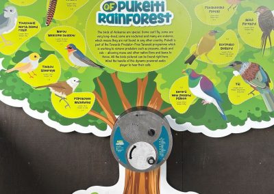 U-Turn Round – Pukeiti Rainforest