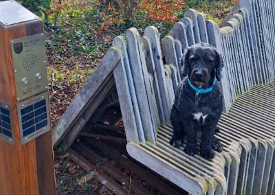 Solar Audio Post – Kent Downs Way National Trail